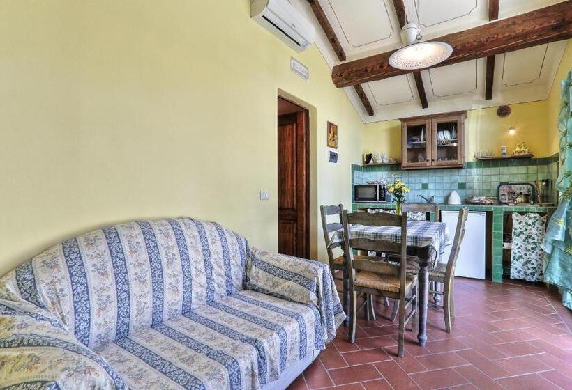 آپارتمان 1 خوابه, Terra Di Cortona