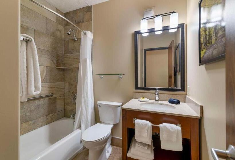 Стандартный Номер Кровать Кинг, Best Western Plus Waterburystowe