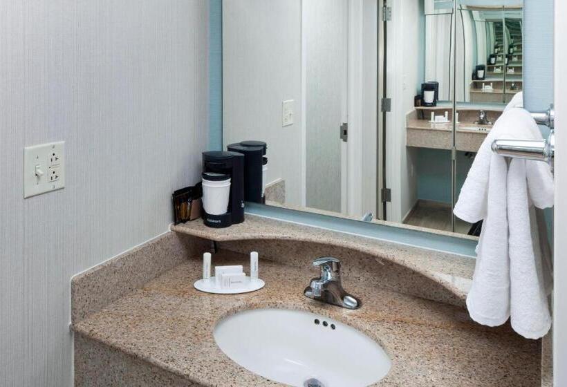 Номер Стандарт Вид на Море, Courtyard Virginia Beach Oceanfront/north 37th Street