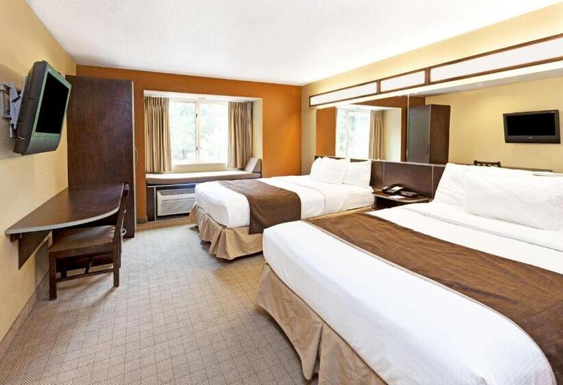 Номер Стандарт, Microtel Inn & Suites By Wyndham Woodstock/atlanta North
