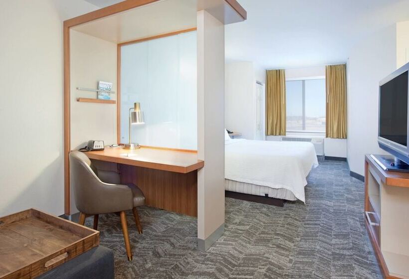 Люкс Адаптированный для Инвалидов, Springhill Suites By Marriott Wichita East At Plazzio
