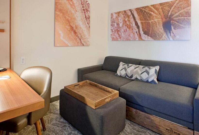 سوئیت برای معلولان, Springhill Suites By Marriott Wichita East At Plazzio