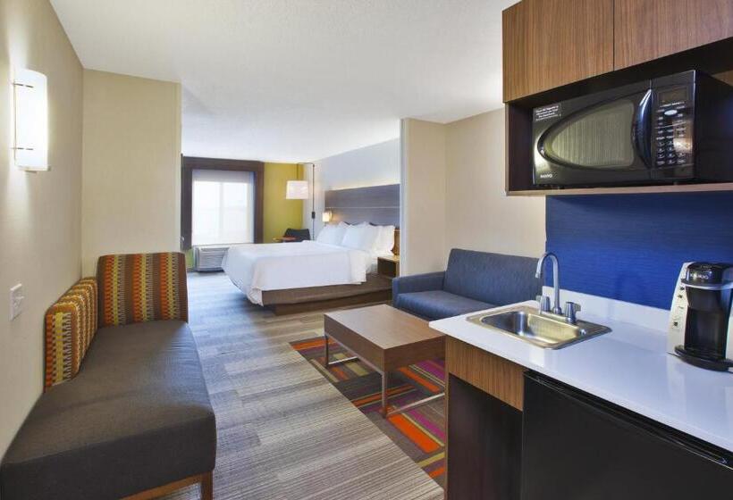 Стандартный Номер Кровать Кинг, Holiday Inn Express Hotel & Suites Auburn Hills, An Ihg