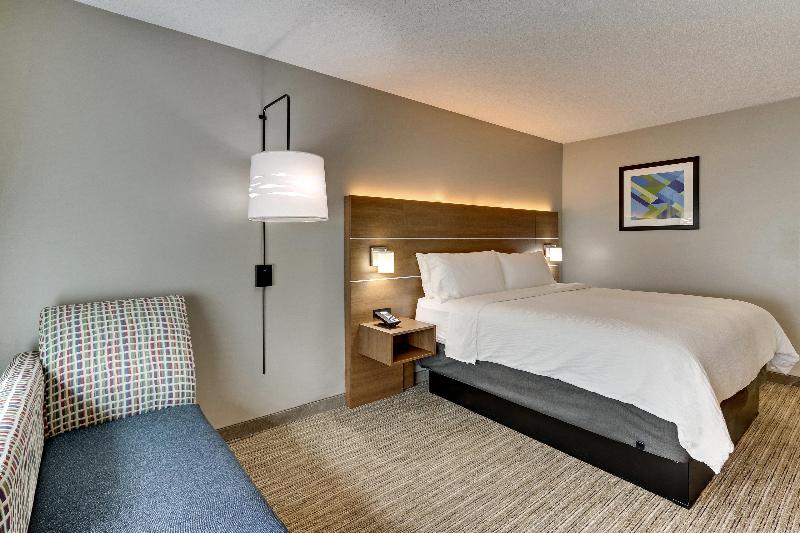 스탠다드 룸 킹사이즈 침대, Holiday Inn Express & Suites Bad Axe, An Ihg