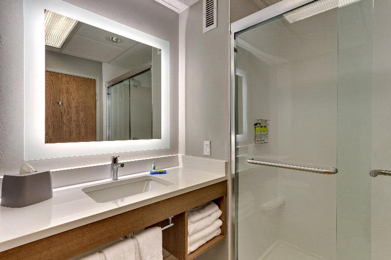 스탠다드 룸 킹사이즈 침대, Holiday Inn Express & Suites Bad Axe, An Ihg