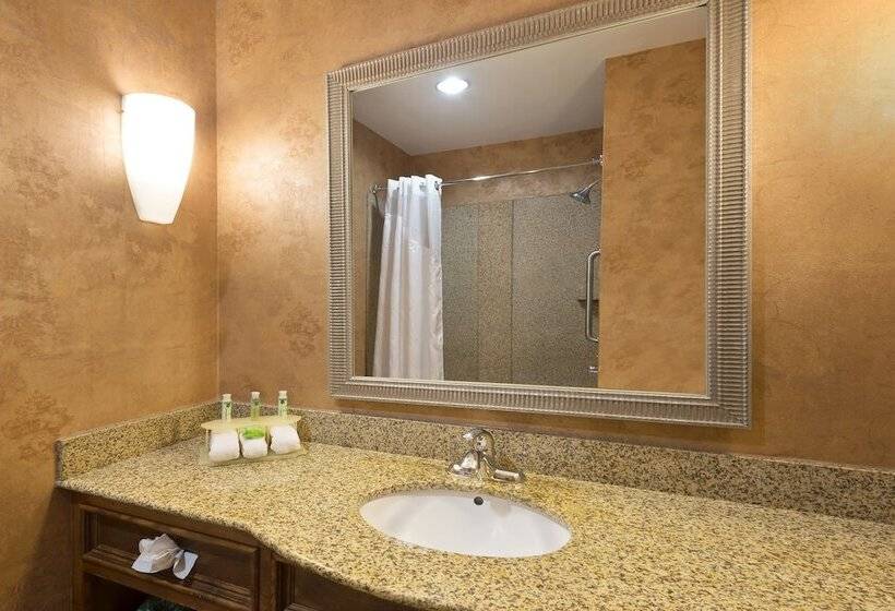스탠다드 룸, Holiday Inn Express Suites Little Rock West, An Ihg