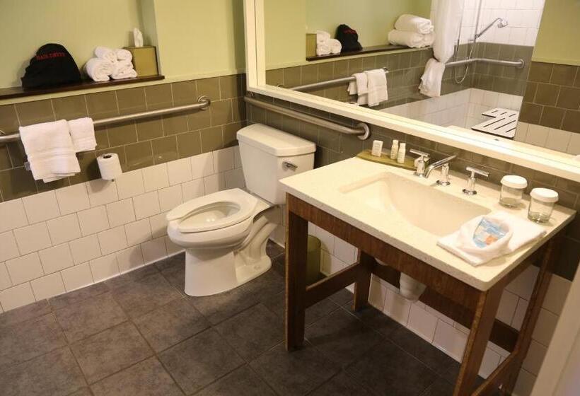 障害者適応デラックスルーム, Indigo Athens   University Area, An Ihg