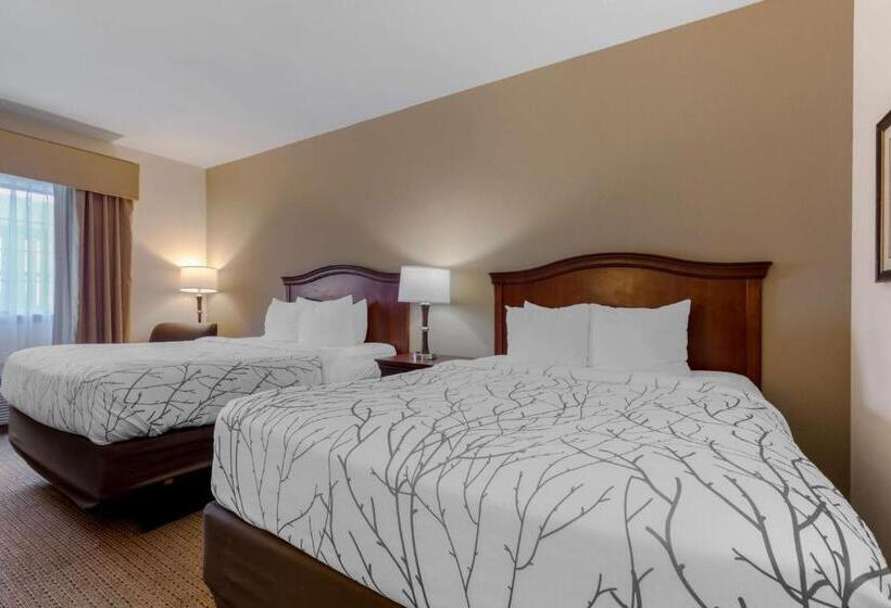 Номер Стандарт, Best Western Plus Sweetwater Inn & Suites