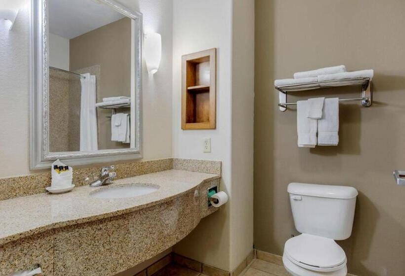Стандартный Номер Кровать Кинг, Best Western Plus Sweetwater Inn & Suites