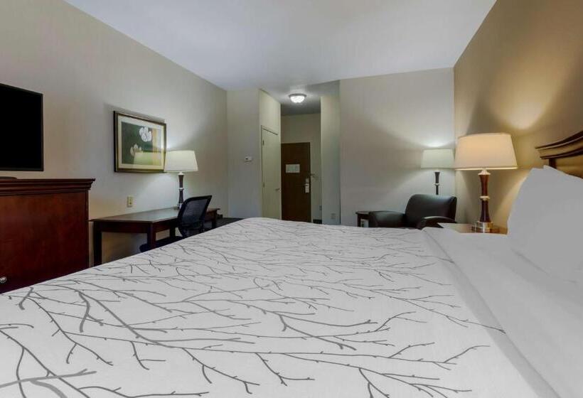 Стандартный Номер Кровать Кинг, Best Western Plus Sweetwater Inn & Suites