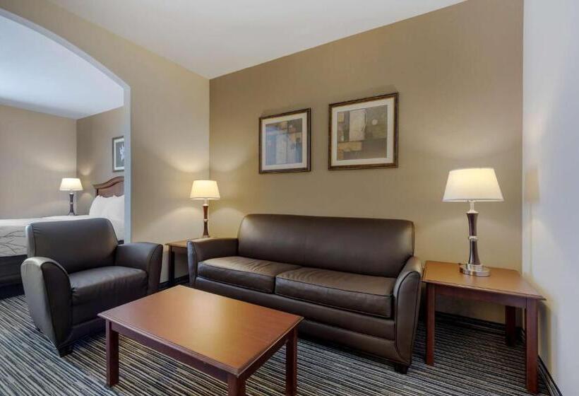 Люкс Кровать Кинг, Best Western Plus Sweetwater Inn & Suites