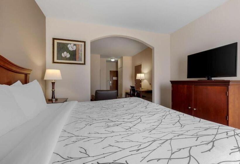 Люкс Кровать Кинг, Best Western Plus Sweetwater Inn & Suites