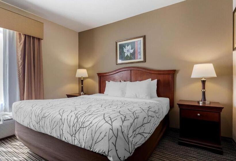 Люкс, Best Western Plus Sweetwater Inn & Suites