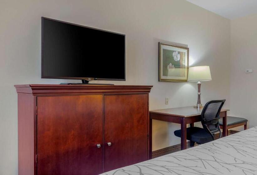 Номер Стандарт Кровать Кинг Адаптированный для Инвалидов, Best Western Plus Sweetwater Inn & Suites