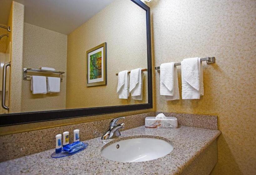 Camera Standard Letto King, Fairfield Inn & Suites Toledo North