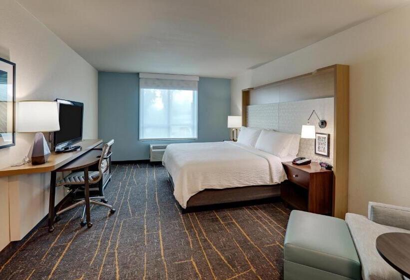 스탠다드 룸 킹사이즈 침대, Holiday Inn Mobile Airport, An Ihg