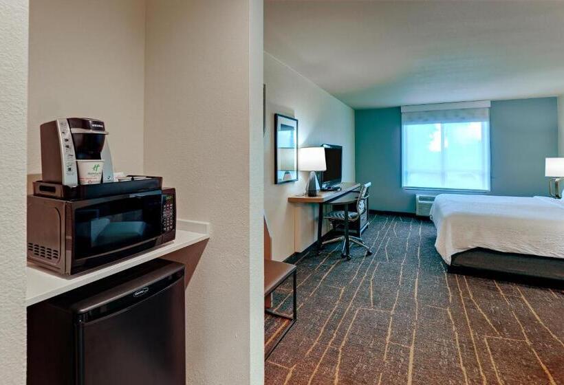 스탠다드 룸 킹사이즈 침대, Holiday Inn Mobile Airport, An Ihg