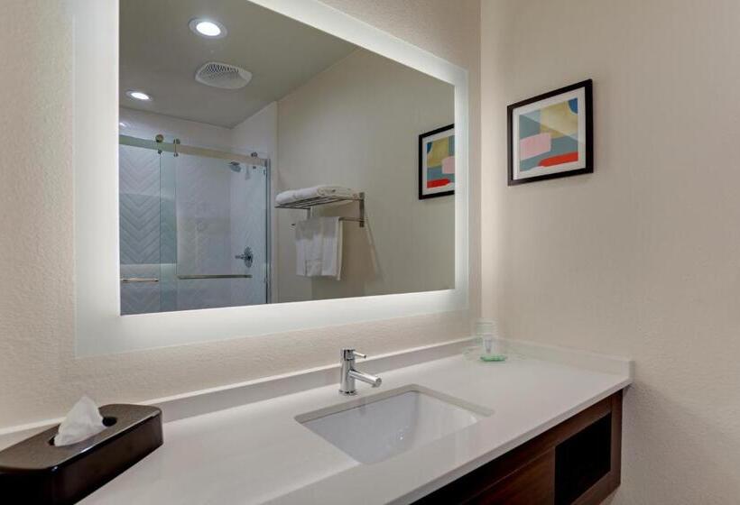 이그제큐티브 룸 킹사이즈 침대, Holiday Inn Mobile Airport, An Ihg
