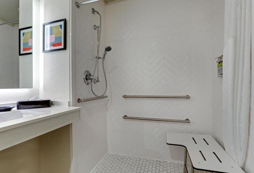 장애인을 위한 킹사이즈 침대 스탠다드 룸, Holiday Inn Mobile Airport, An Ihg