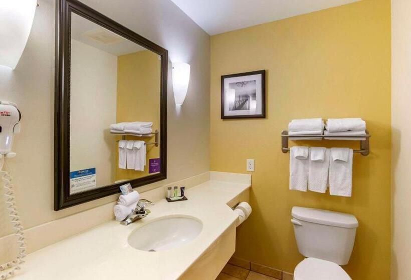 스위트 킹사이즈 침대, Sleep Inn & Suites Idaho Falls Gateway To Yellowstone