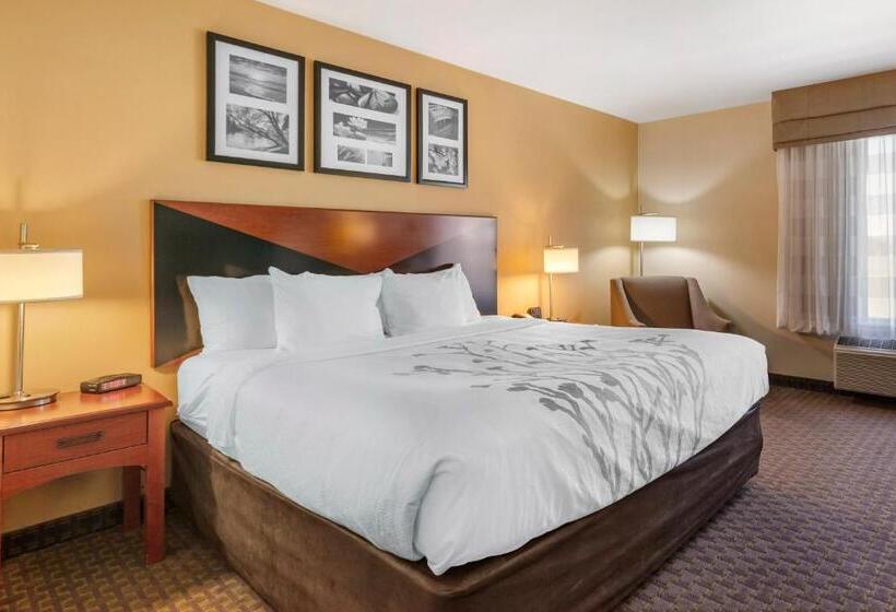 장애인을 위한 킹사이즈 침대 스탠다드 룸, Sleep Inn & Suites Idaho Falls Gateway To Yellowstone