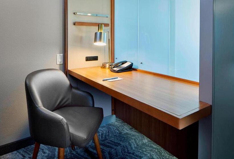 استودیوی استاندارد, Springhill Suites By Marriott Las Vegas Convention Center