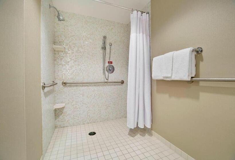 استودیو استاندارد با تخت کینگ, Springhill Suites By Marriott Las Vegas Convention Center