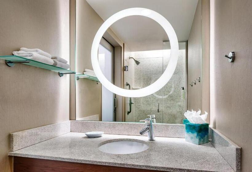 استودیو استاندارد با تخت کینگ, Springhill Suites By Marriott Las Vegas Convention Center
