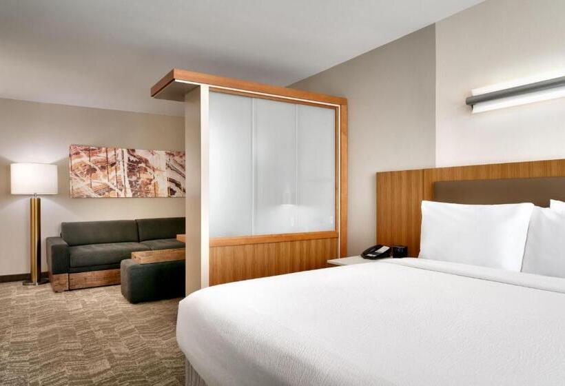 استودیو استاندارد با تخت کینگ, Springhill Suites By Marriott Las Vegas Convention Center