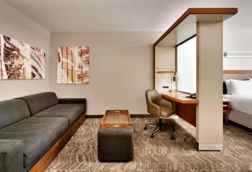 استودیو استاندارد با تخت کینگ, Springhill Suites By Marriott Las Vegas Convention Center