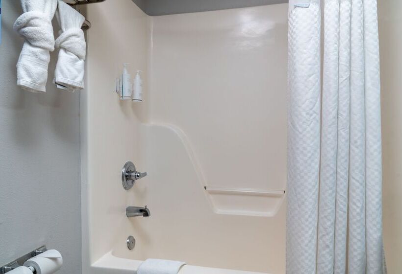 豪华工作室, Microtel Inn & Suites By Wyndham Pigeon Forge