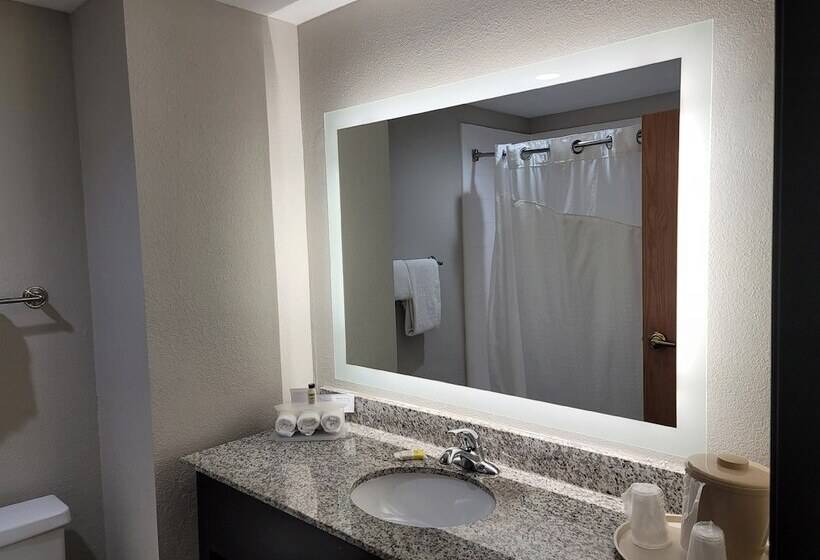 스탠다드 룸, Holiday Inn Express & Suites Wilson Downtown, An Ihg