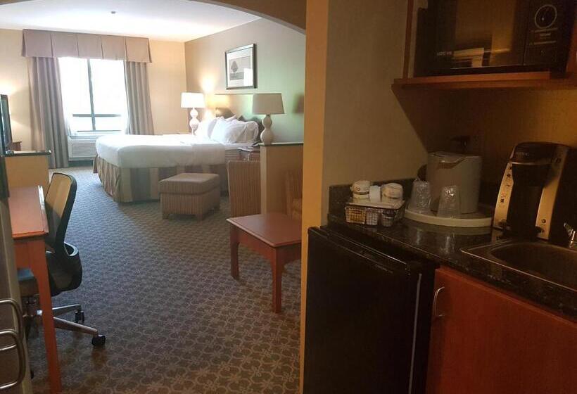 キングサイドベッドのスタンダードワンルーム, Holiday Inn Carbondale   Conference Center, An Ihg