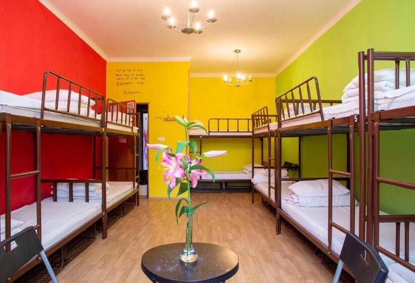 Номер Стандарт Совместная Ванная, Let S Rock Party Hostel! Age Limit From 18 Until 40!