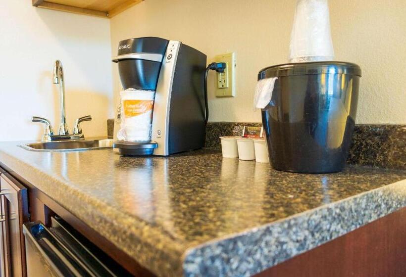 장애인을 위한 스탠다드 룸, Comfort Inn & Suites Plainvillefoxboro