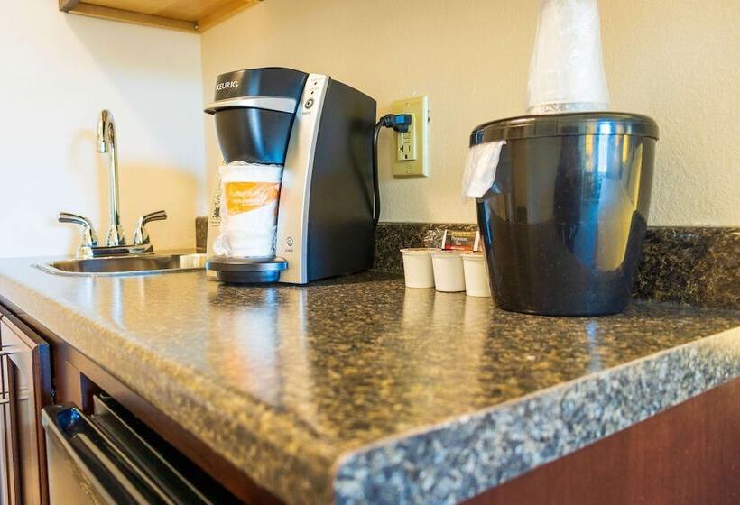 스탠다드 룸 더블 침대 2개, Comfort Inn & Suites Plainvillefoxboro