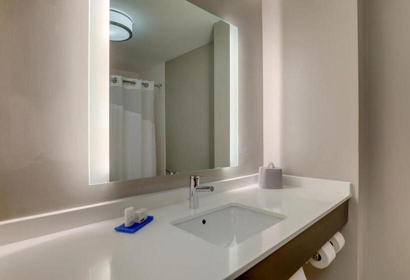 Люкс, Holiday Inn Express Hotel & Suites Bryan Montpelier, An Ihg