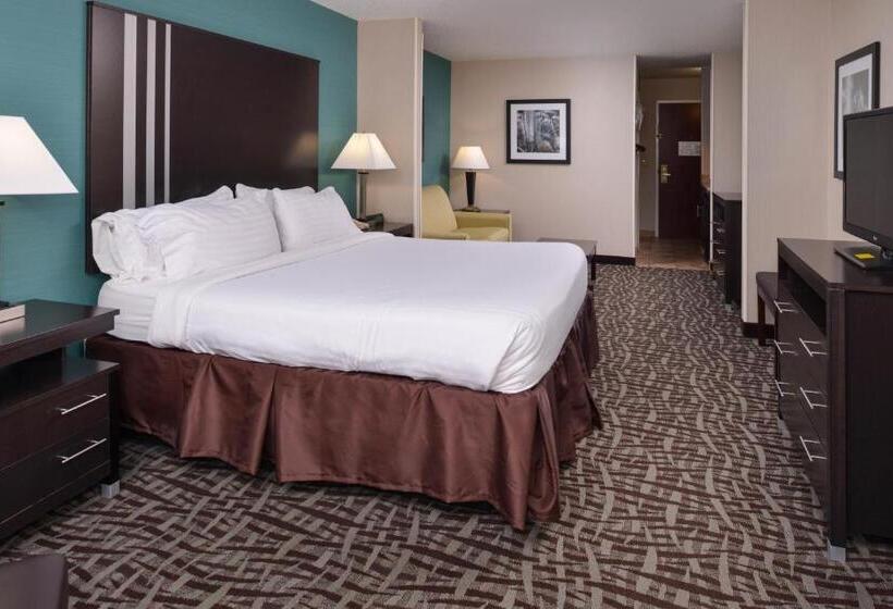 스위트 킹사이즈 침대, Holiday Inn Express Hotel & Suites Youngstown   North Lima/boardman, An Ihg