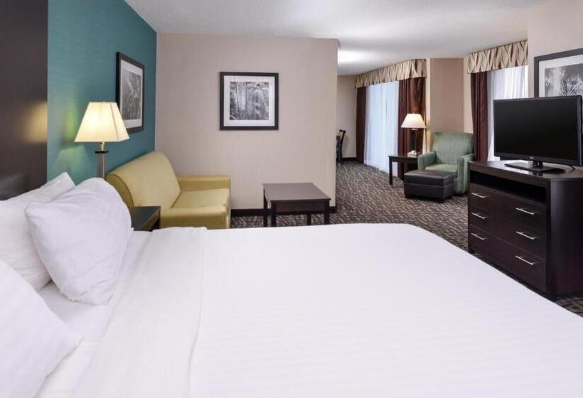 스위트 킹사이즈 침대, Holiday Inn Express Hotel & Suites Youngstown   North Lima/boardman, An Ihg