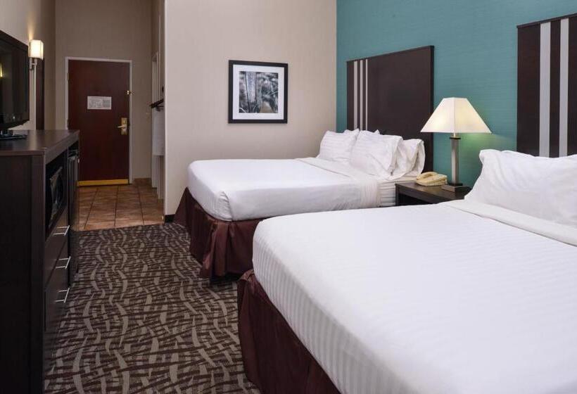 장애인을 위한 스탠다드 룸, Holiday Inn Express Hotel & Suites Youngstown   North Lima/boardman, An Ihg