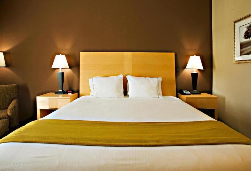 带大床的标准间, Holiday Inn Express Hotel And Suites Borger, An Ihg