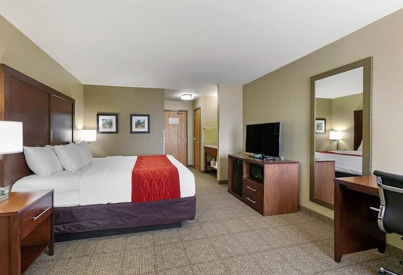 سوئیت برای معلولان, Comfort Inn & Suites Near University Of Wyoming