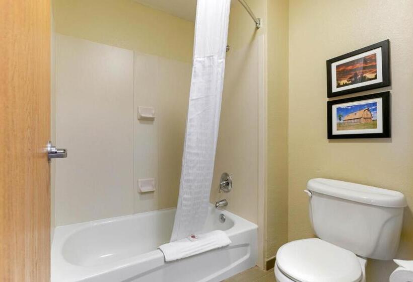 اتاق استاندارد با تخت بزرگ, Comfort Inn & Suites Near University Of Wyoming
