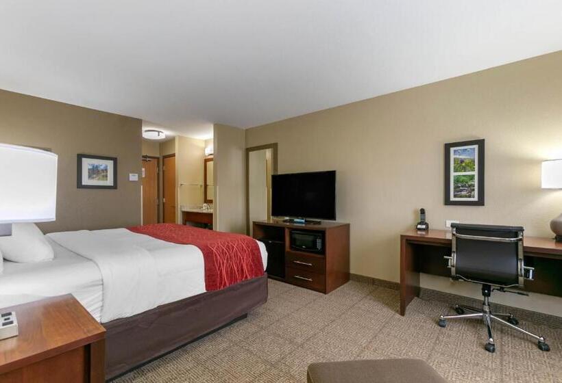 اتاق استاندارد با تخت بزرگ, Comfort Inn & Suites Near University Of Wyoming