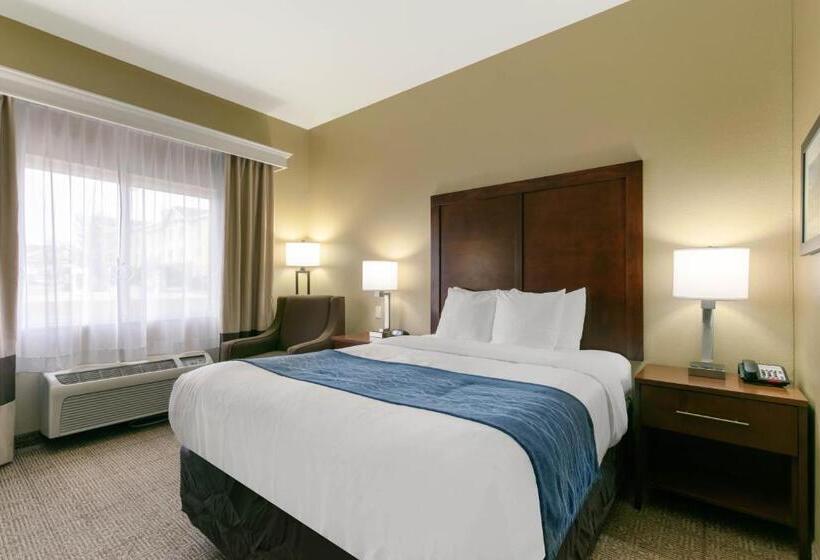 اتاق استاندارد, Comfort Inn & Suites Near University Of Wyoming