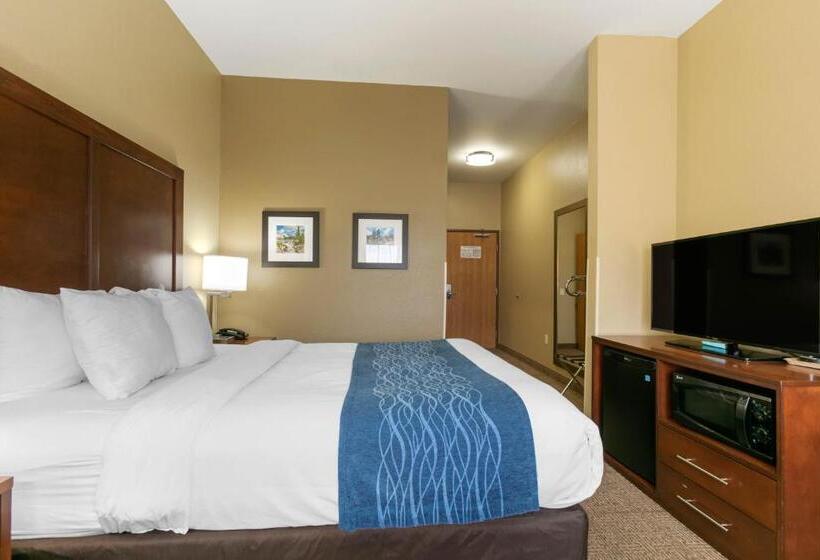اتاق استاندارد برای معلولان, Comfort Inn & Suites Near University Of Wyoming