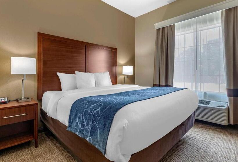 Люкс Кровать Кинг, Comfort Inn & Suites Paris