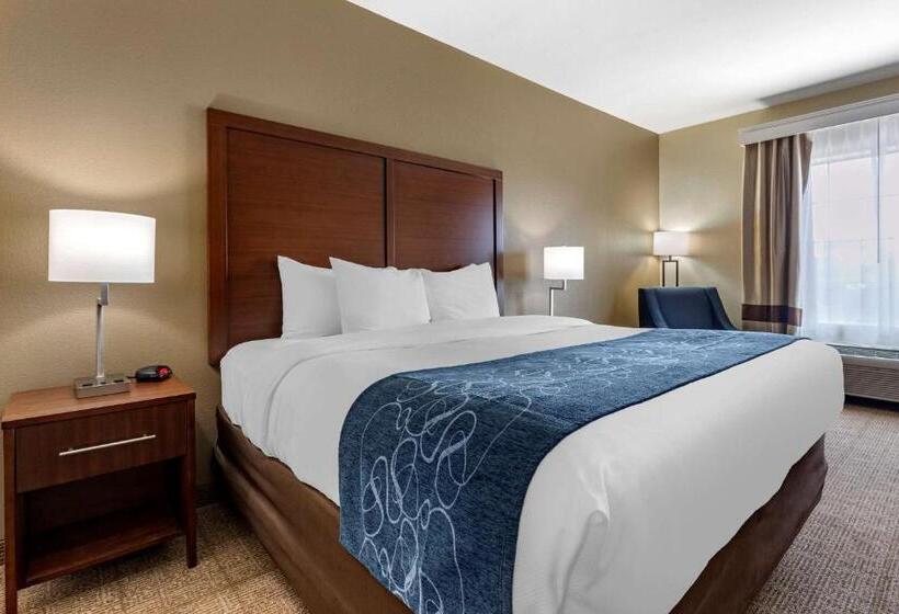 Номер Стандарт Кровать Кинг Адаптированный для Инвалидов, Comfort Inn & Suites Paris