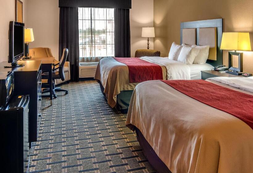 Номер Стандарт Адаптированный для Инвалидов, Comfort Inn & Suites Paris