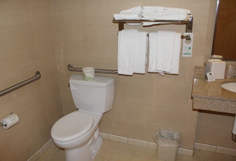 Номер Стандарт, Holiday Inn Express Hotel & Suites Warrenton, An Ihg